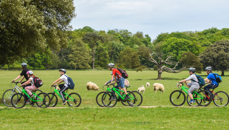 Explore Norfolk